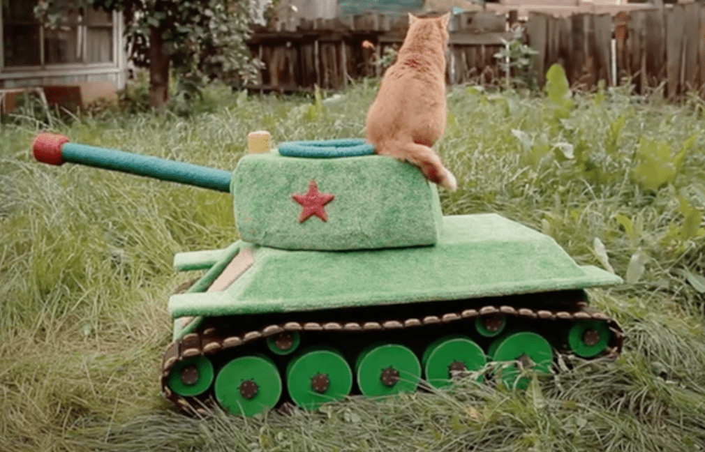 Giving thanks Russian beauty, culture, and cats Russian Life